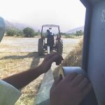 wheat field workers