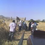 working guys wheat field